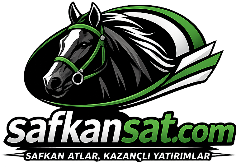 SafkanSat.com Logo